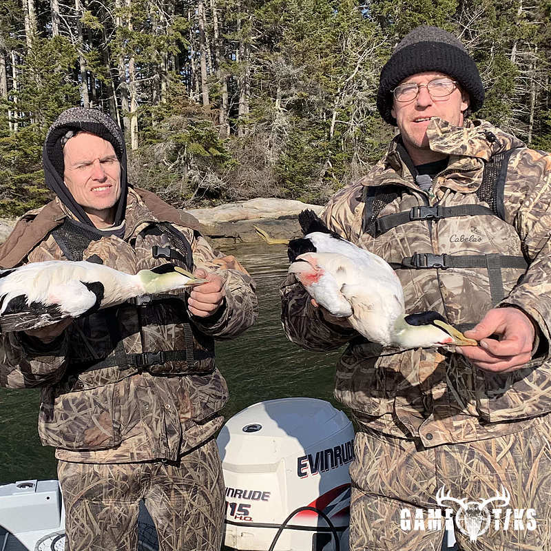 waterfowl harvest by Maine Experience Guide Service
