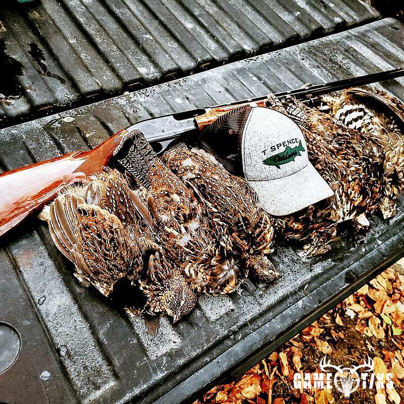 upland_bird harvest by Travis Spencer