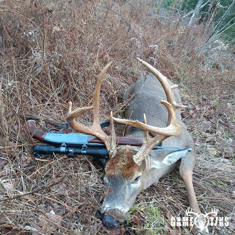 deer harvest by Mitchell Simpson