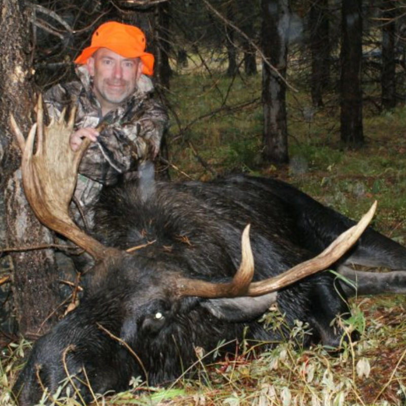 moose harvest by Perry Hatch