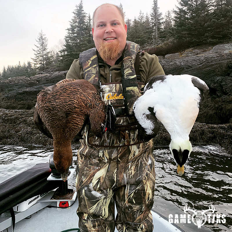 waterfowl harvest by Maine Experience Guide Service