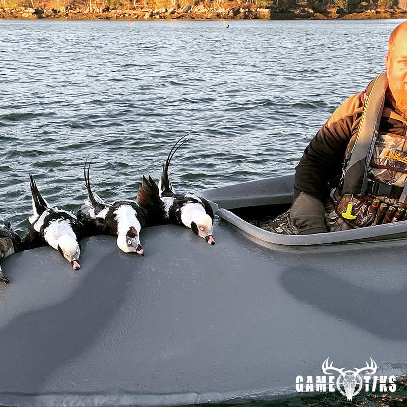 waterfowl harvest by Maine Experience Guide Service