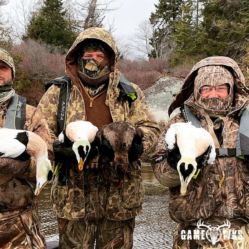 waterfowl harvest by Maine Experience Guide Service