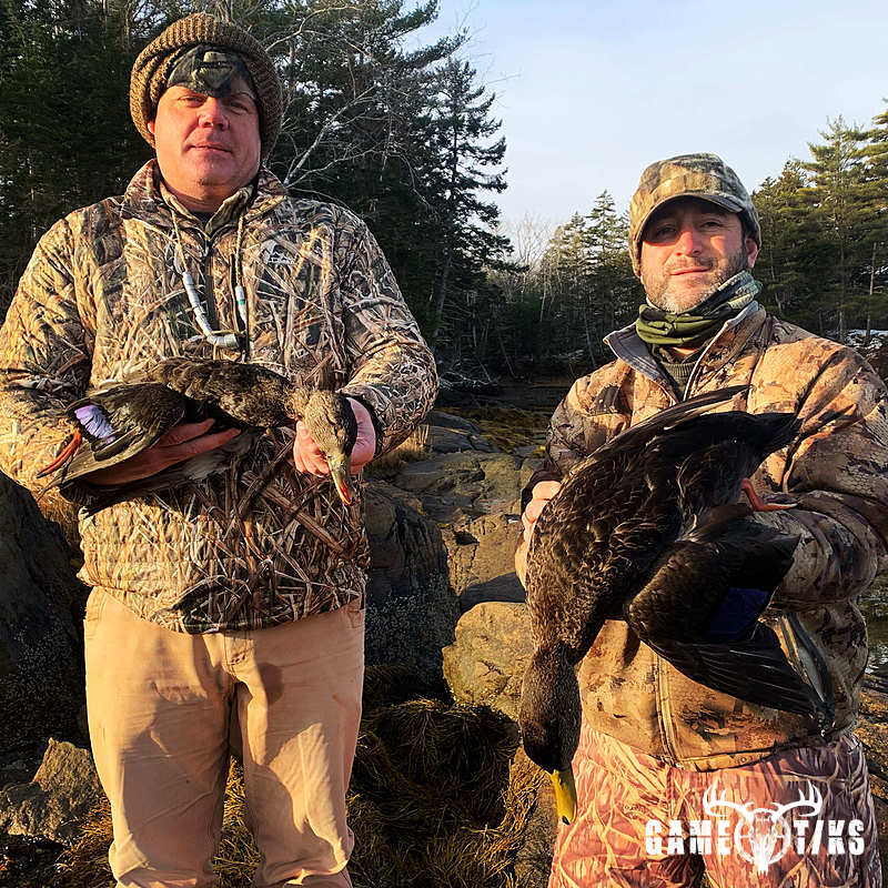 waterfowl harvest by Maine Experience Guide Service