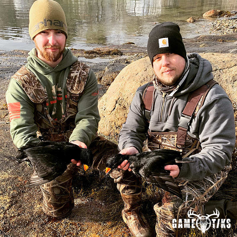 waterfowl harvest by Maine Experience Guide Service