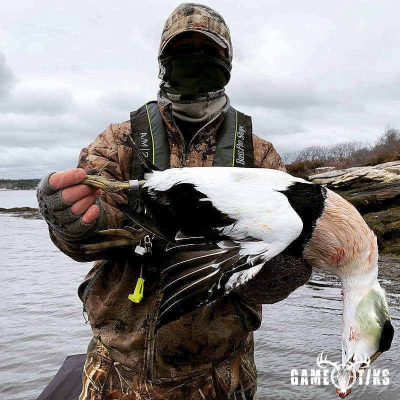 waterfowl harvest by Maine Experience Guide Service