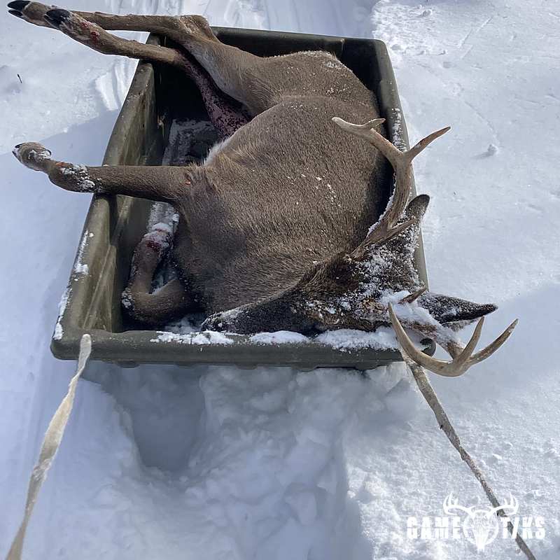 deer harvest by Kris Brill