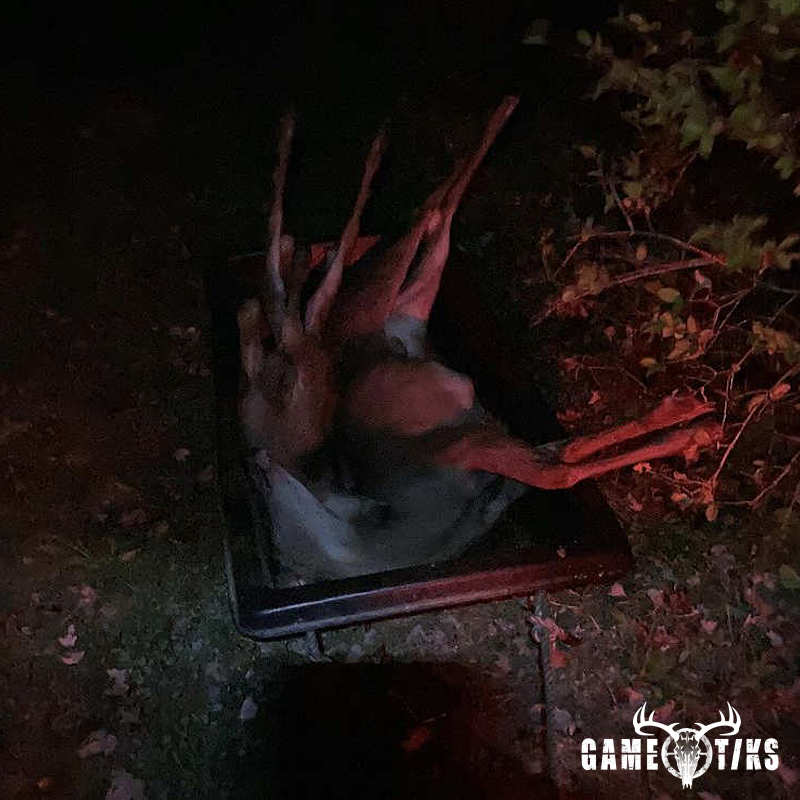 deer harvest by Kris Brill