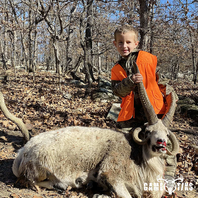bovid harvest by Black Mountain Hunts LLC