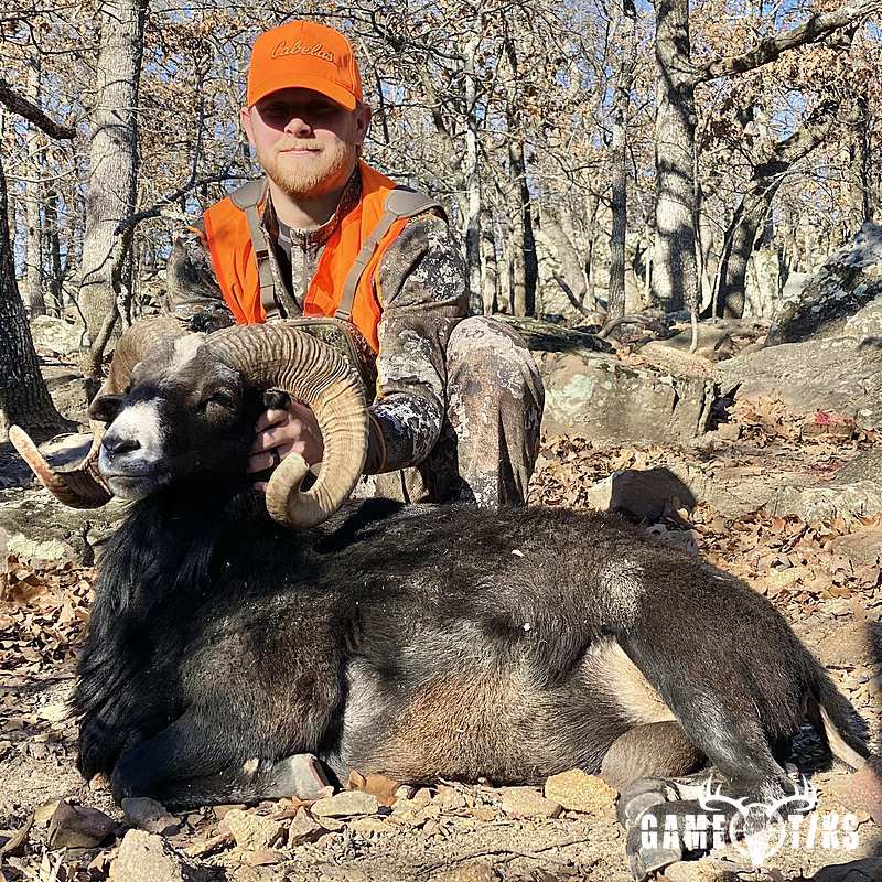 bovid harvest by Black Mountain Hunts LLC