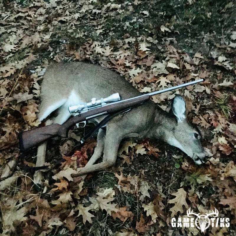 deer harvest by Kyle McKague