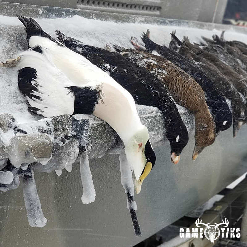 waterfowl harvest by Marsh River Outfitters
