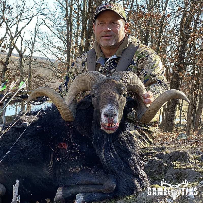 bovid harvest by Black Mountain Hunts LLC