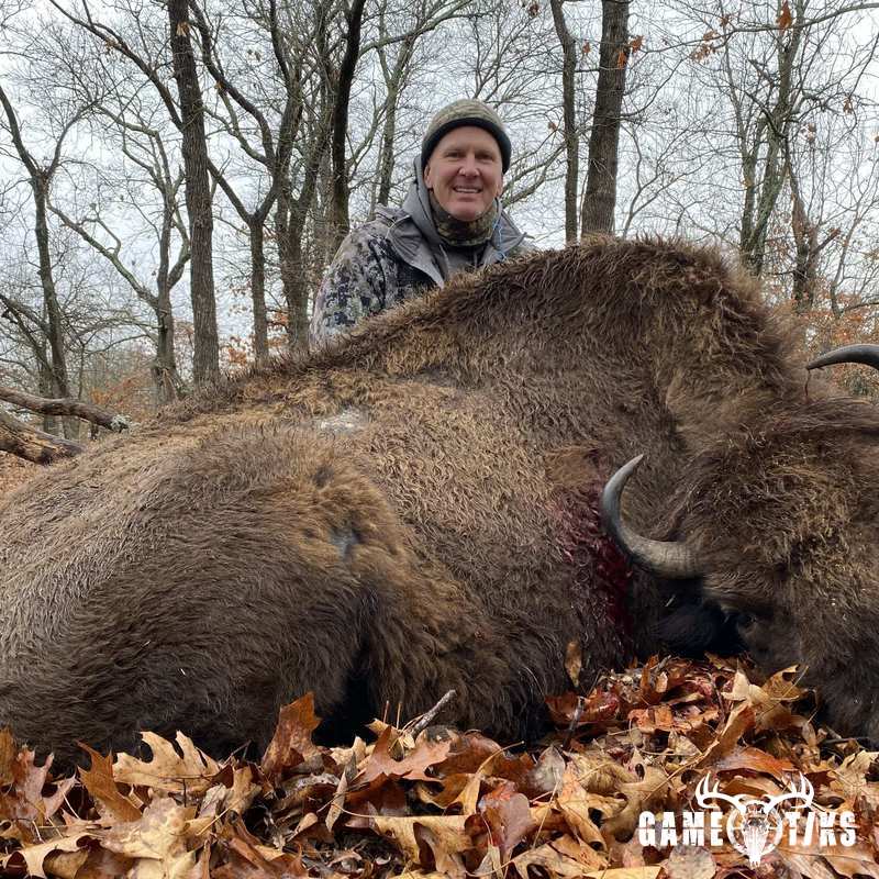 buffalo harvest by Black Mountain Hunts LLC