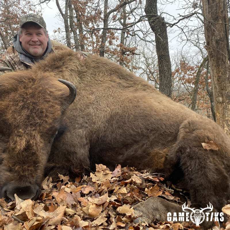 buffalo harvest by Black Mountain Hunts LLC