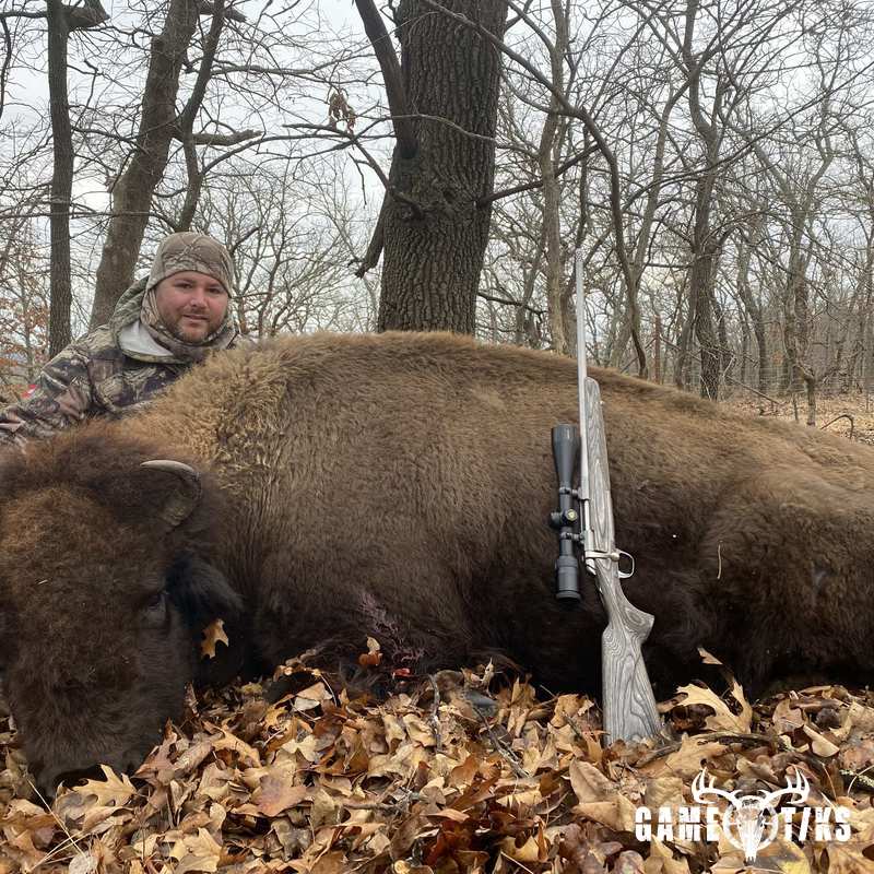 buffalo harvest by Black Mountain Hunts LLC