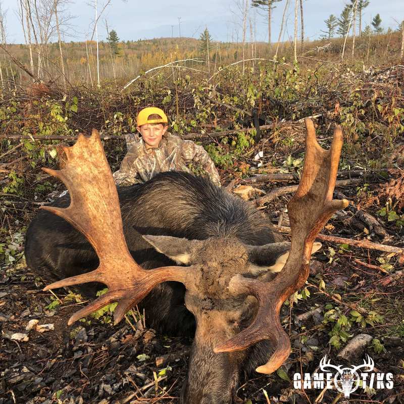 moose harvest by Big Mountain Outfitters
