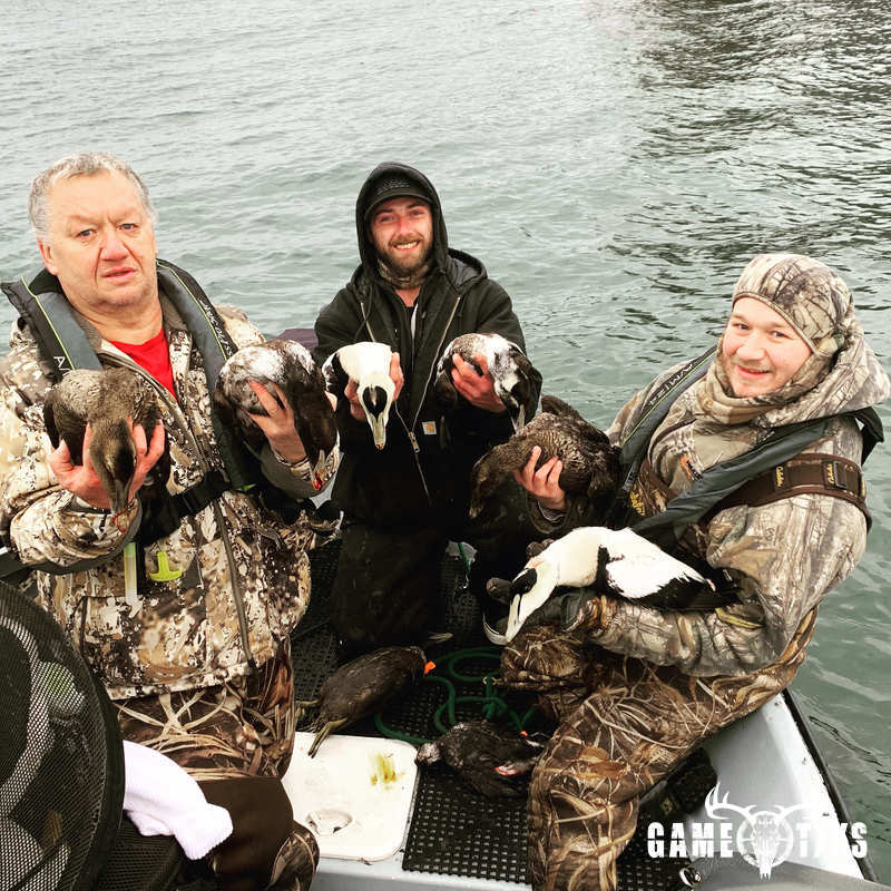 waterfowl harvest by Maine Experience Guide Service