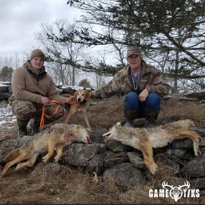 miscellaneous harvest by Marsh River Outfitters