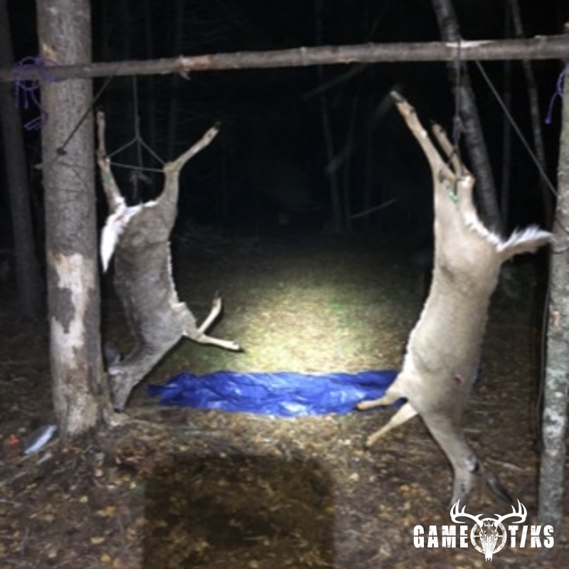 deer harvest by Sam Ray