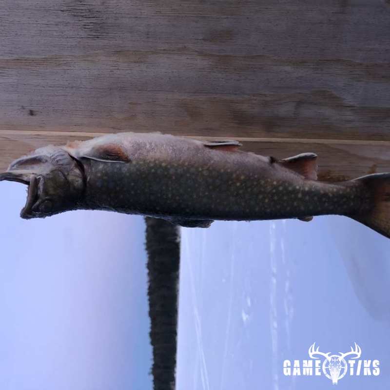fish harvest by Sam Ray