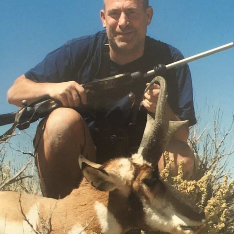 bovid harvest by Perry Hatch
