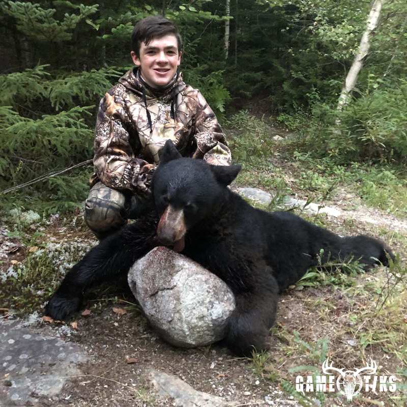 bear harvest by Brandon Hurd