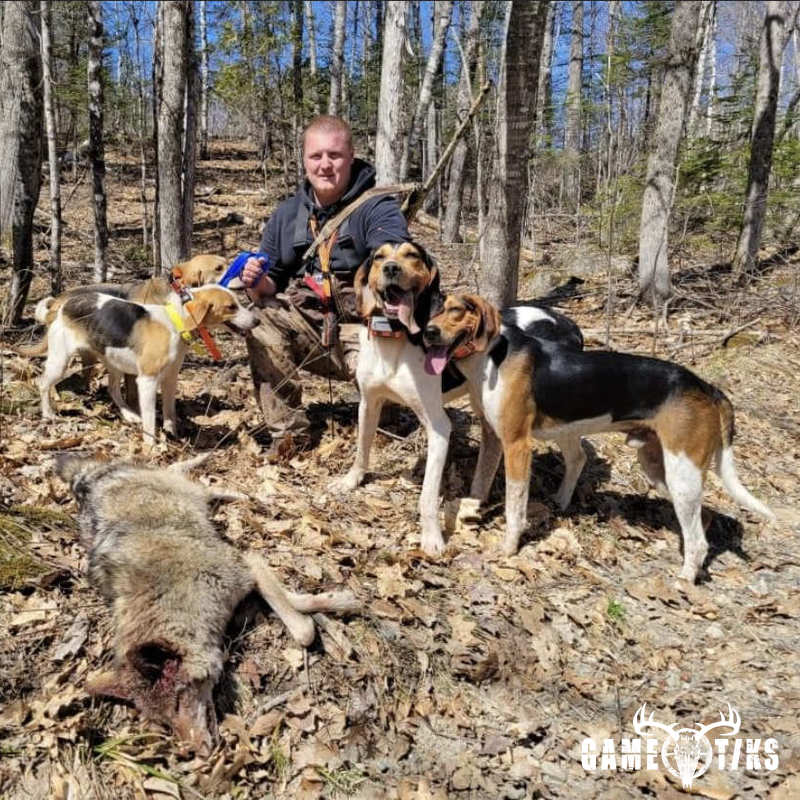 canine harvest by Marsh River Outfitters