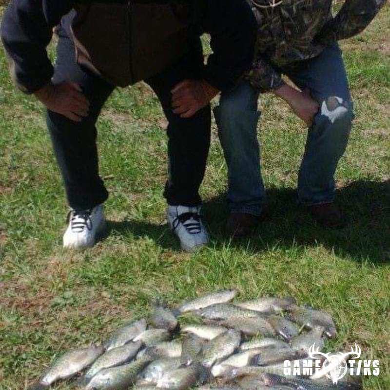 fish harvest by JD Cagle
