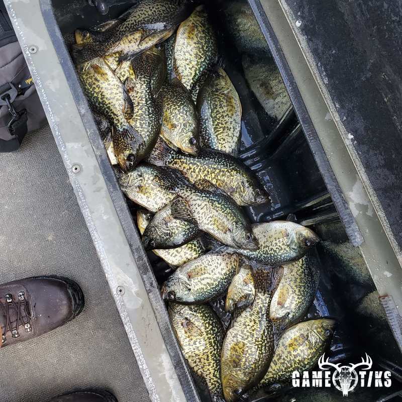 fish harvest by Reddog Guide Service