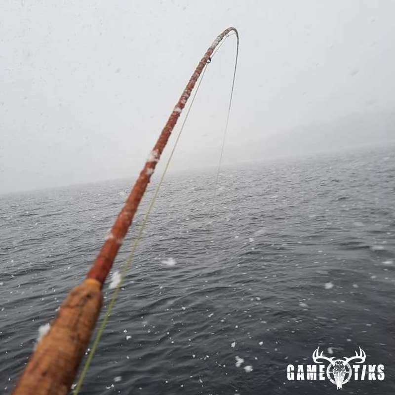 fish harvest by Troy Fields, Traditions Guide Service