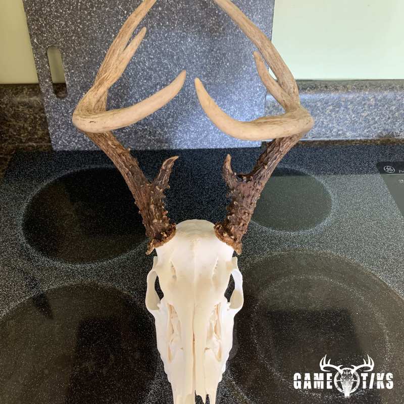 deer harvest by JD Cagle
