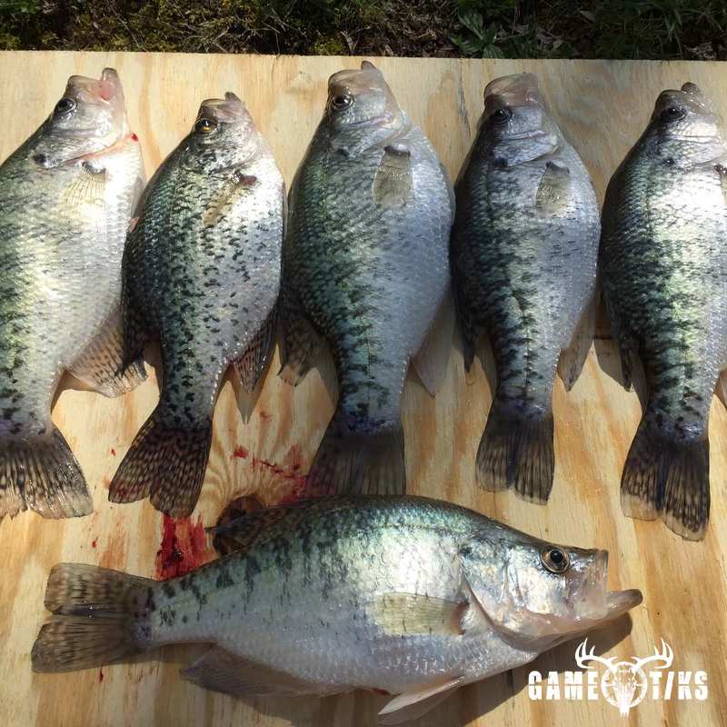 fish harvest by JD Cagle