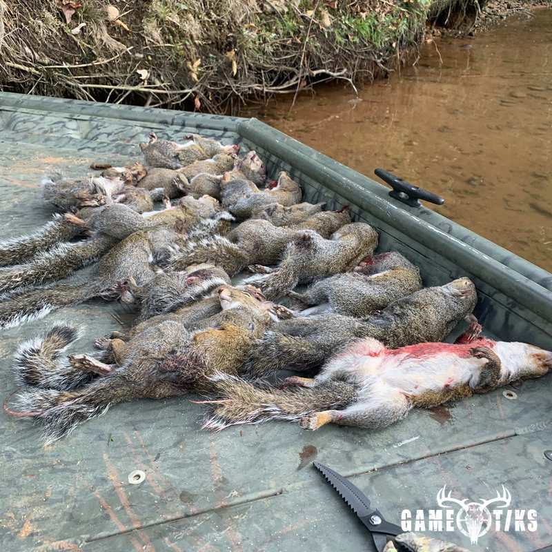 squirrel harvest by JD Cagle