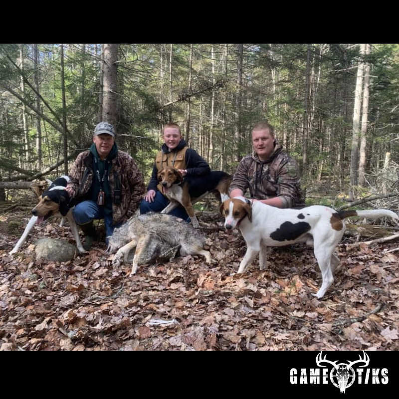 canine harvest by Marsh River Outfitters