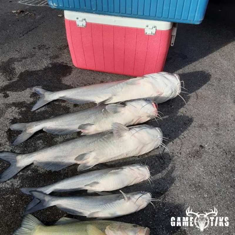 fish harvest by JD Cagle