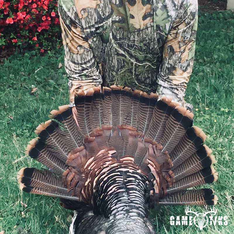 turkey harvest by JD Cagle
