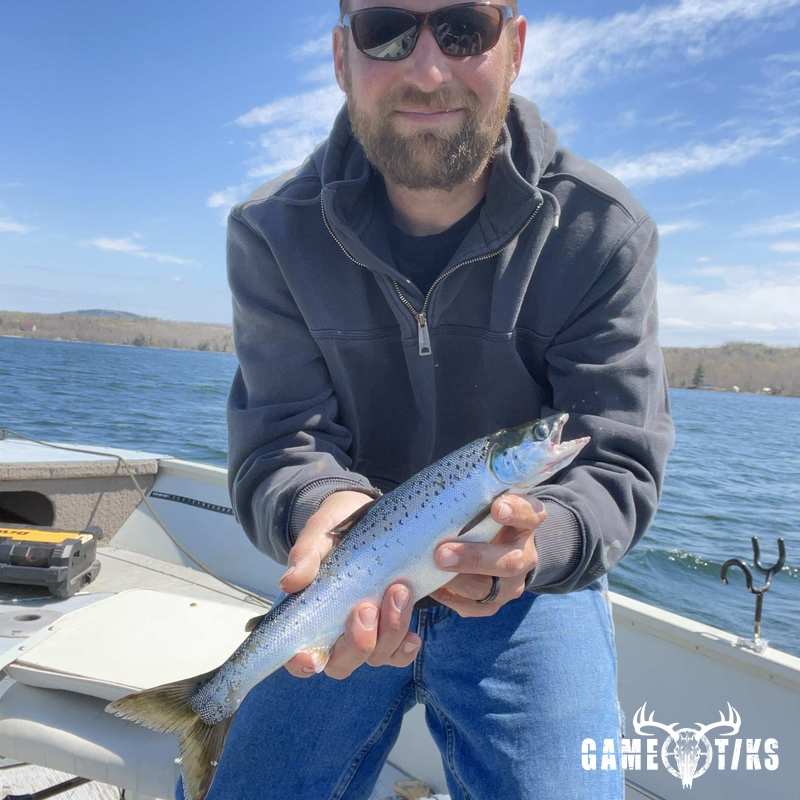 fish harvest by Matt Laite