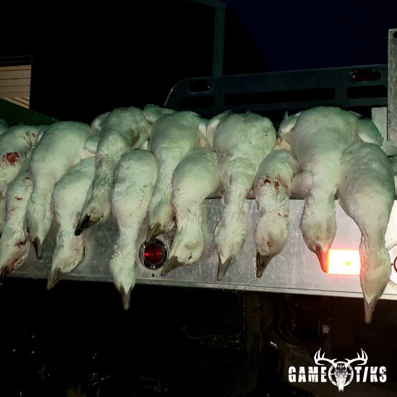 waterfowl harvest by The RiverRats Waterfowl Hunting