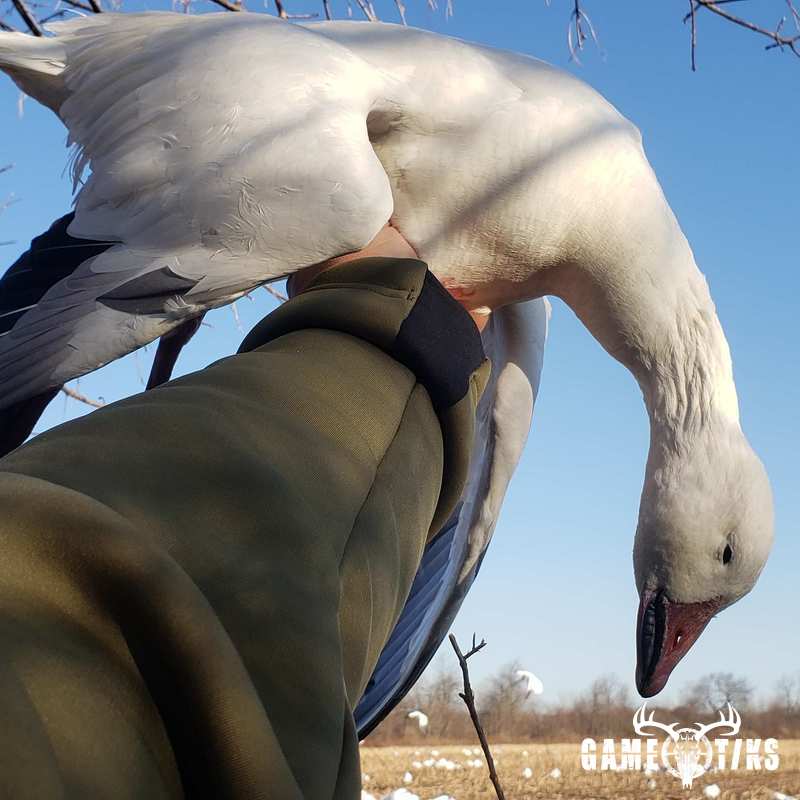 waterfowl harvest by The RiverRats Waterfowl Hunting