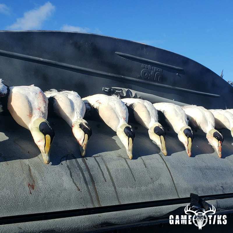 waterfowl harvest by The RiverRats Waterfowl Hunting