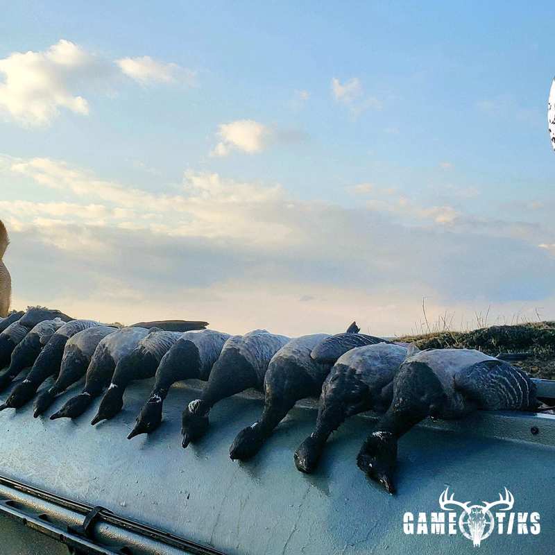 waterfowl harvest by The RiverRats Waterfowl Hunting