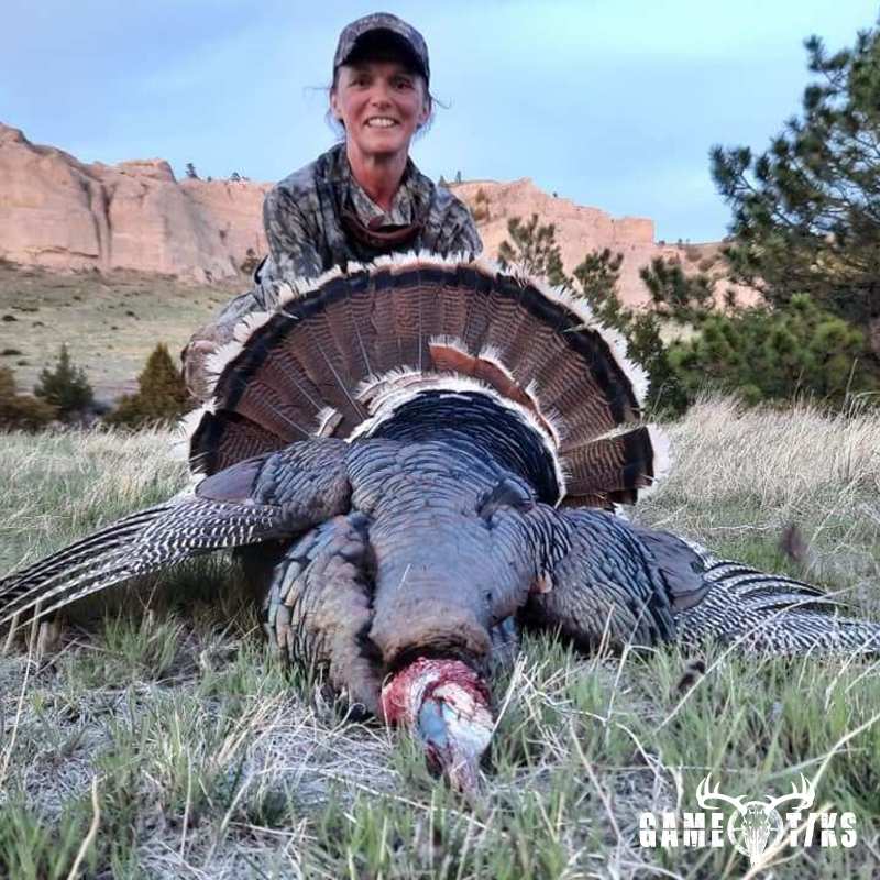turkey harvest by Troy Fields, Traditions Guide Service