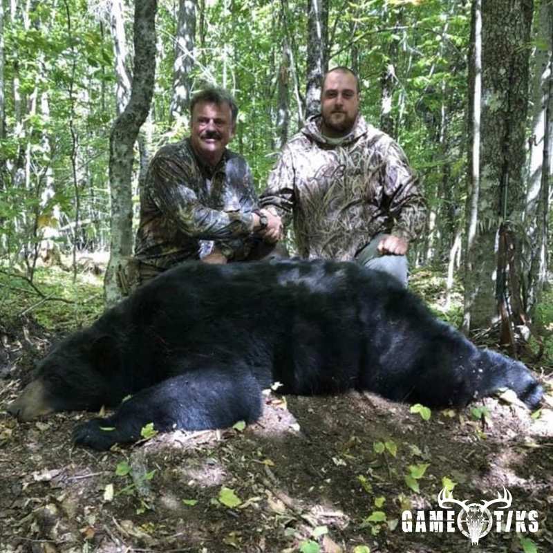bear harvest by Marsh River Outfitters