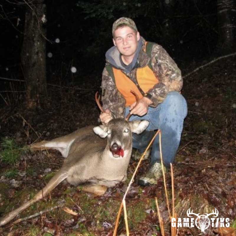 deer harvest by Matt Laite