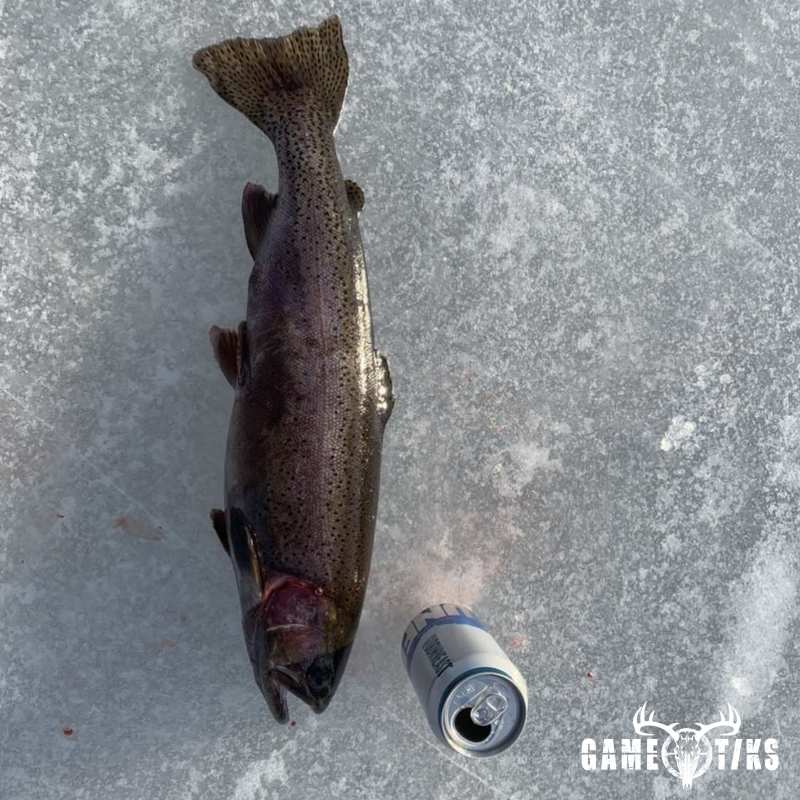 fish harvest by Matt Laite