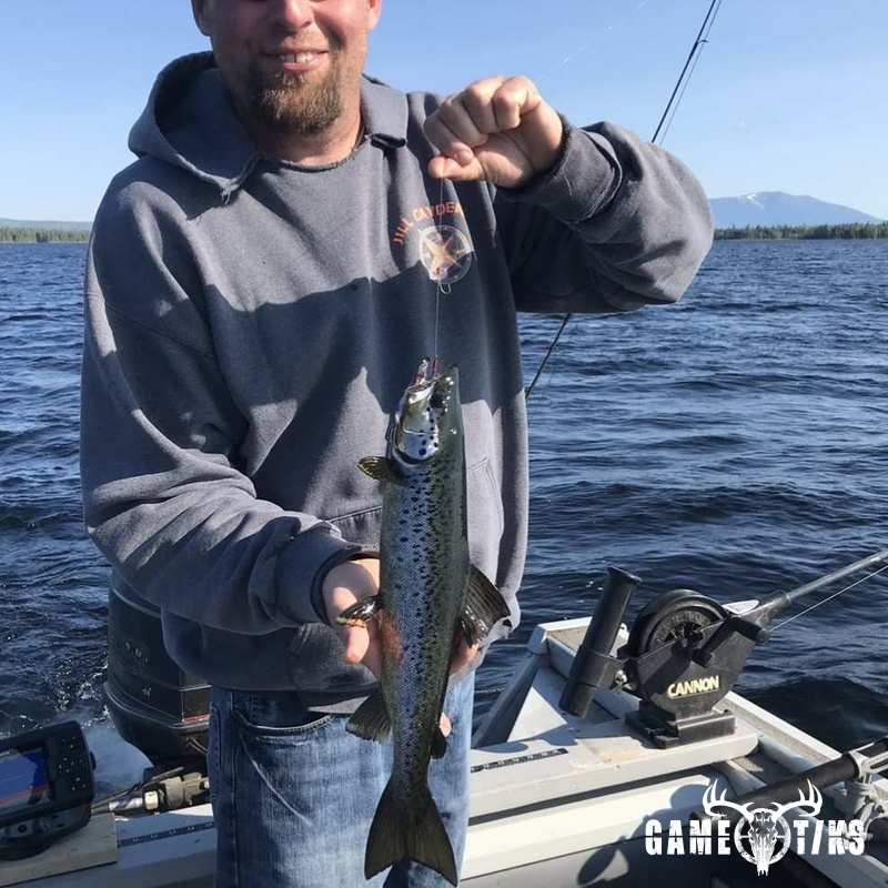 fish harvest by Matt Laite