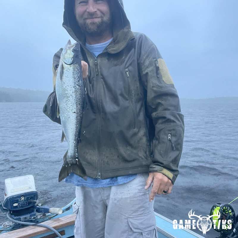 fish harvest by Matt Laite