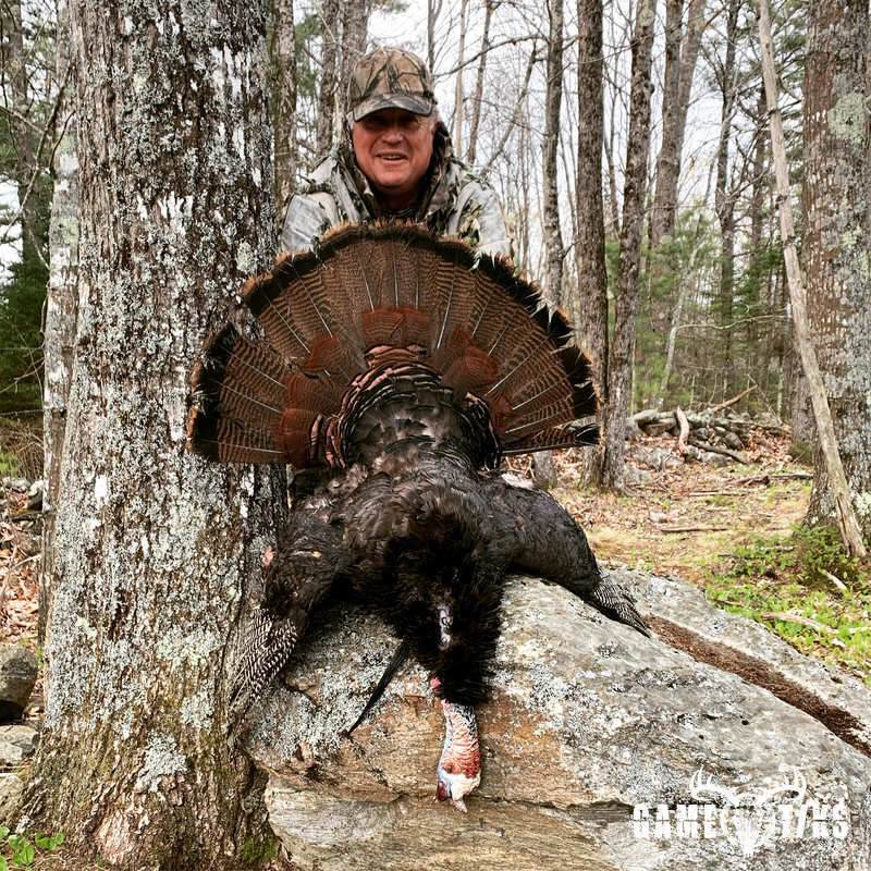 turkey harvest by Maine Experience Guide Service