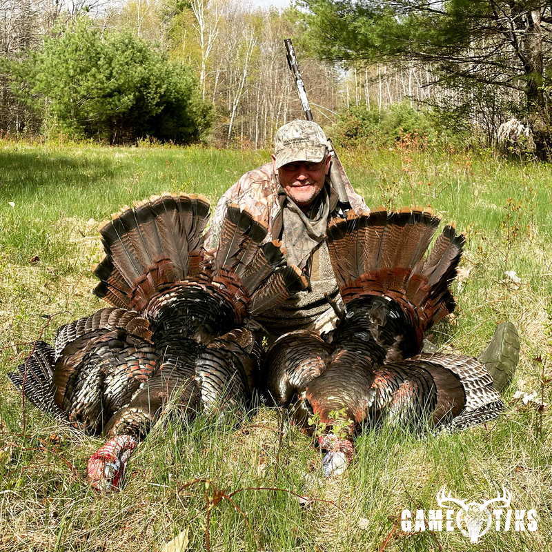 turkey harvest by Maine Experience Guide Service